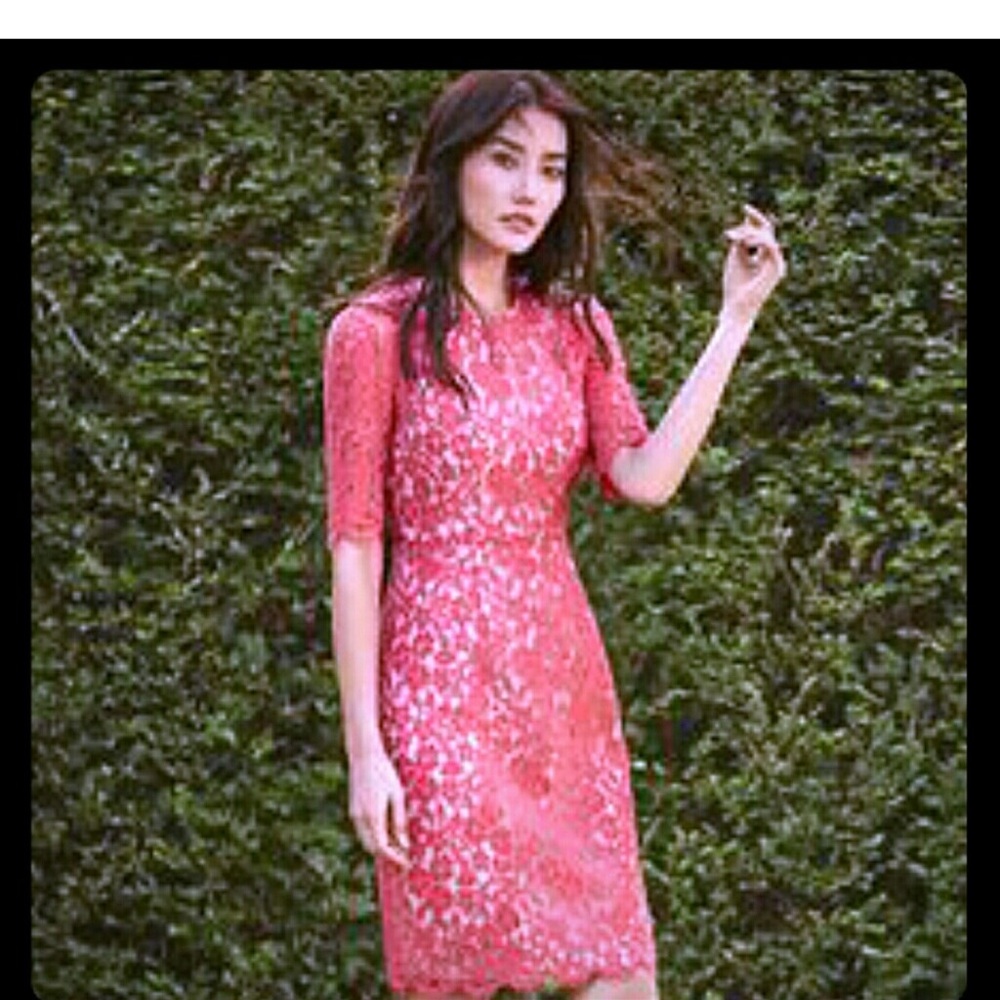 L.K. Bennett Wardour Pencil Pink Lace Overlay Size 12 - Picture 2 of 15